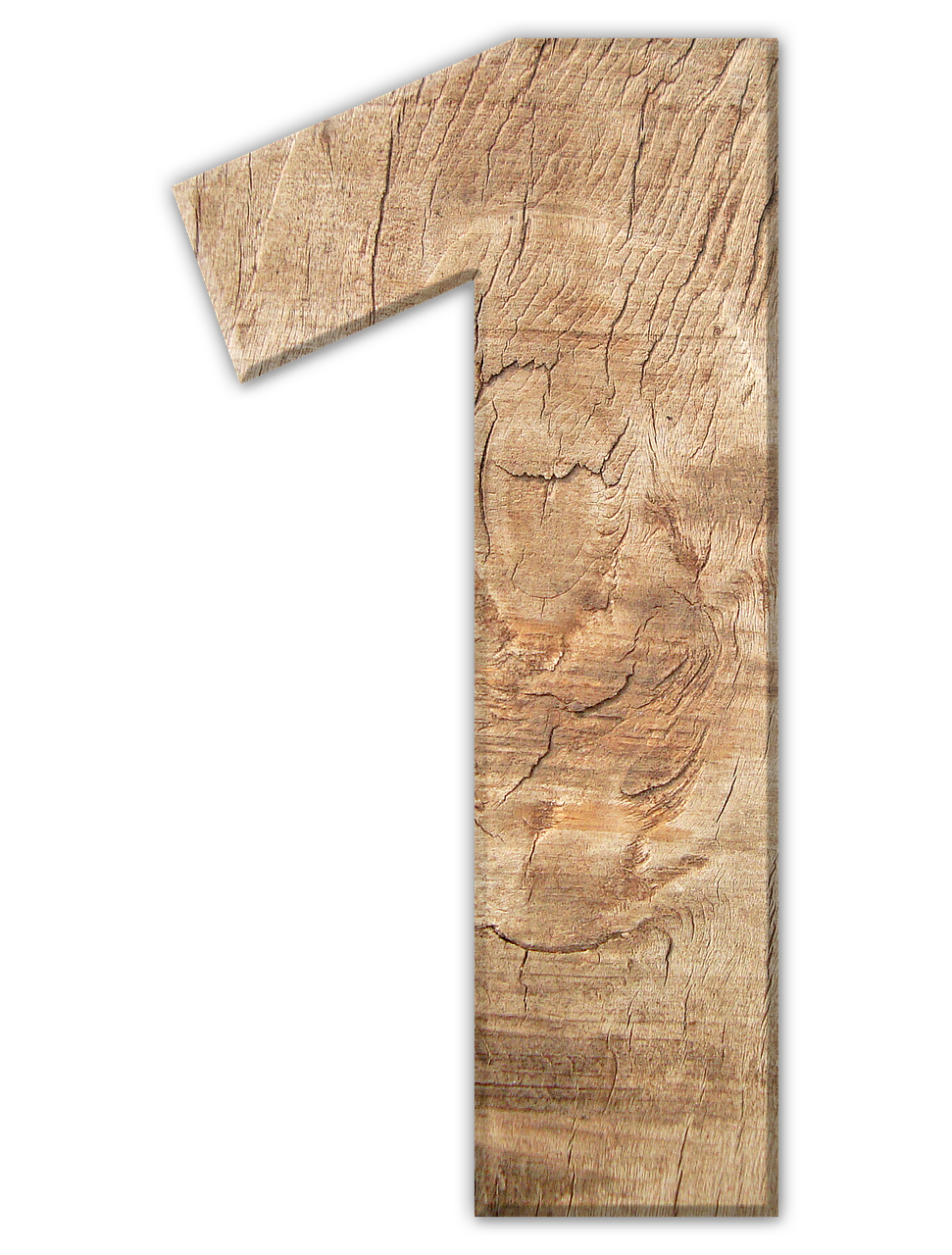 $2500 Presenting Sponsor